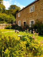 Alojamiento - Burnhopeside Hall