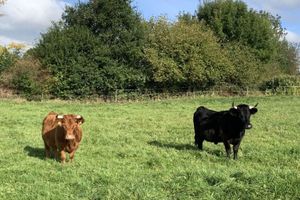 Alquiler Vacacional - Country House Landlust