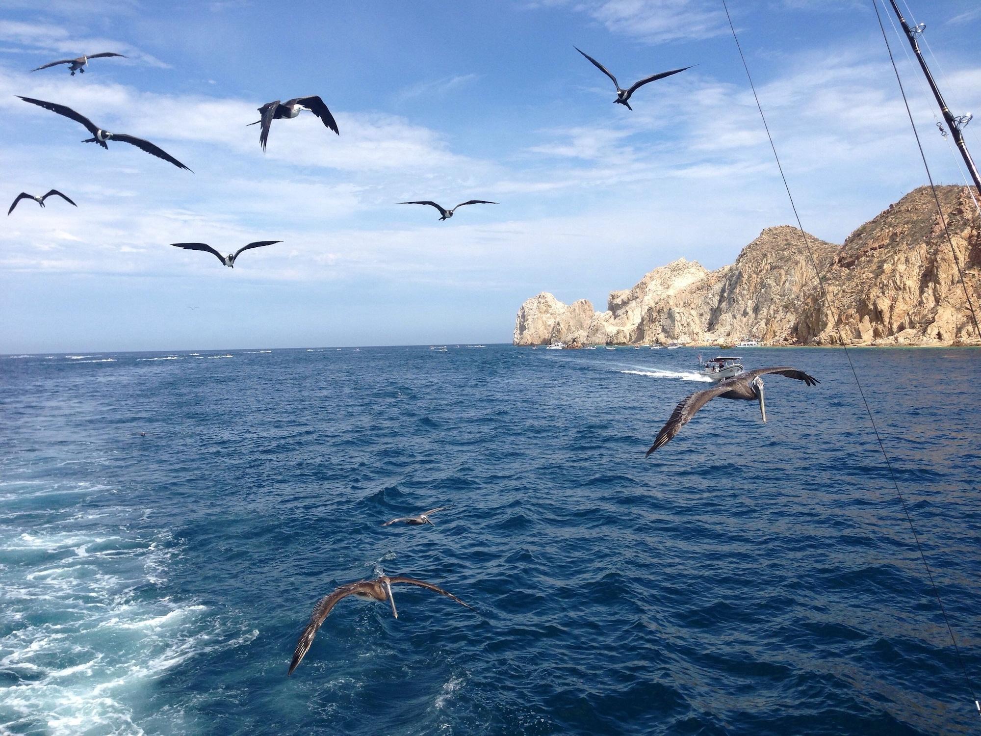 Playa Hyatt Place Los Cabos