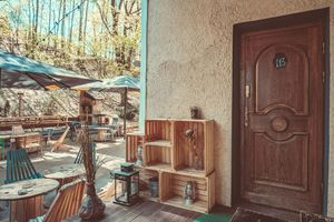 Alojamiento - Downtown Forest Hostel & Camping