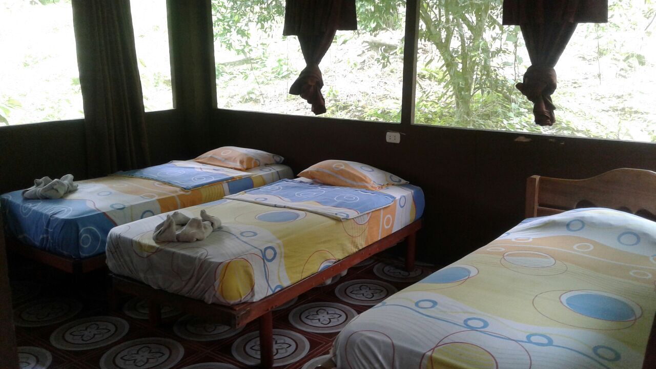 Habitación TROPICAL ADVENTURES & EXPEDITIONS LODGE