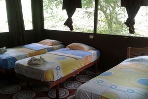 Alojamiento - TROPICAL ADVENTURES & EXPEDITIONS LODGE