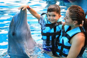 Actividad - Puerto Vallarta: Dolphin Encounter