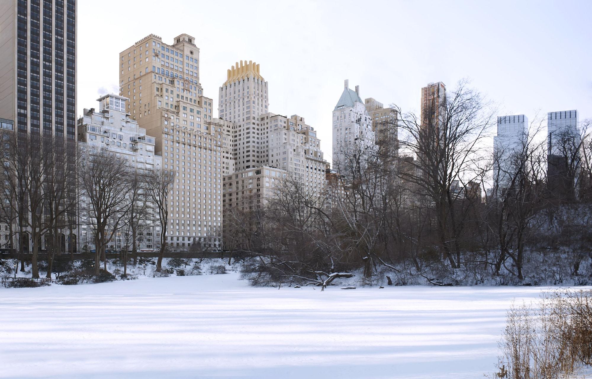 Vista Exterior The Ritz-Carlton New York, Central Park