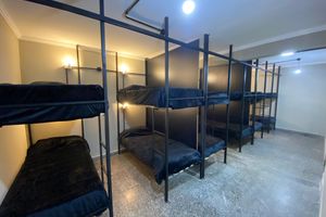Alojamiento - Urban Jungle Hostel