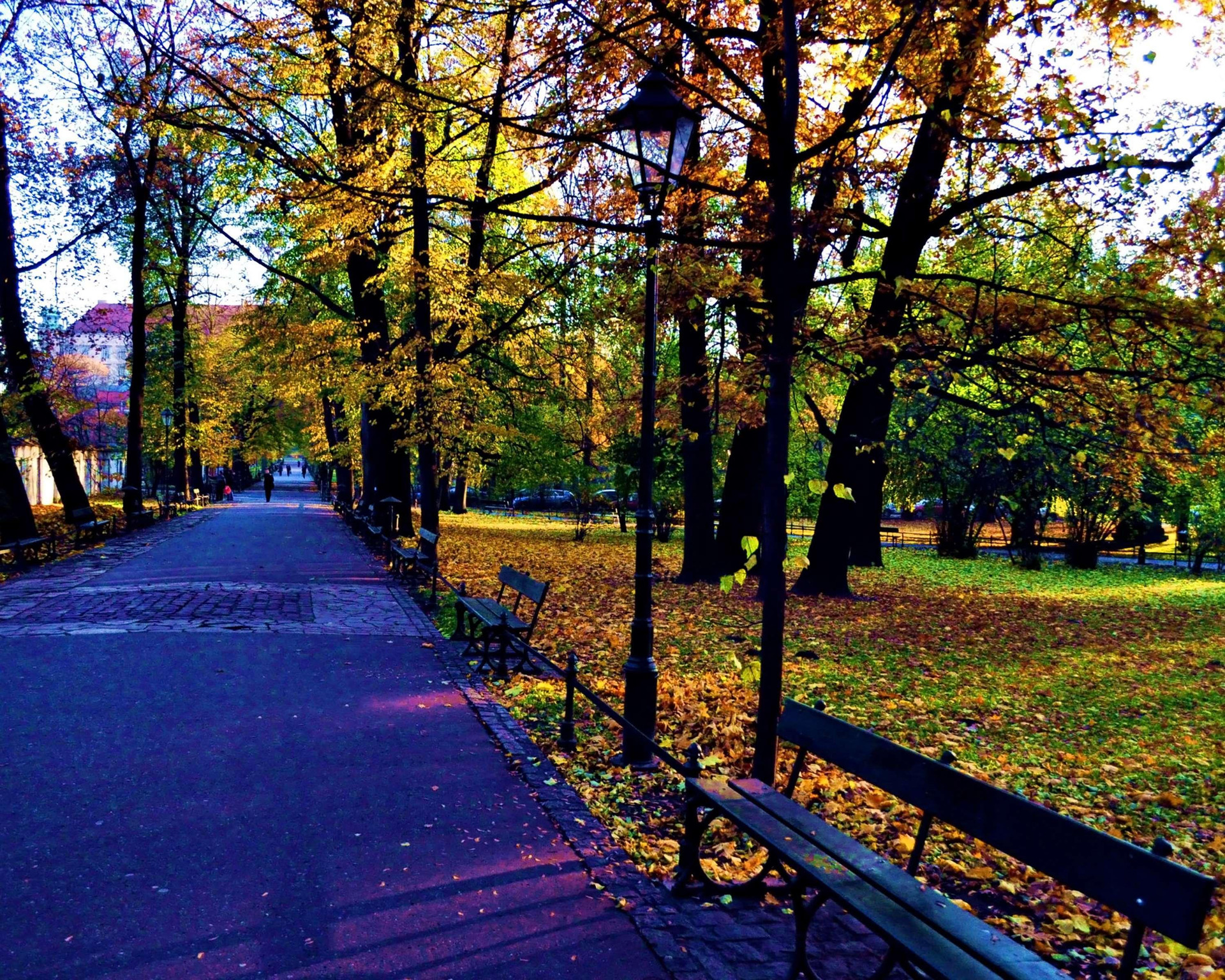 Vista Exterior Best Western Plus Krakow Old Town