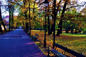 Alojamiento - Best Western Plus Krakow Old Town