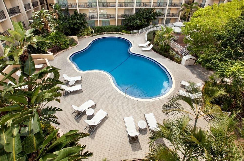 Pool view DoubleTree by Hilton Tampa Airport - Westshore