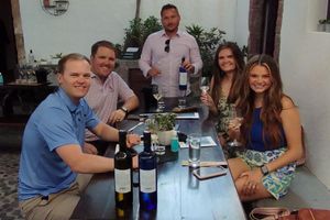 Actividad - Santorini desde el aire y por tierra: Oia, paseo en helicóptero y cata de vinos - Tour privado