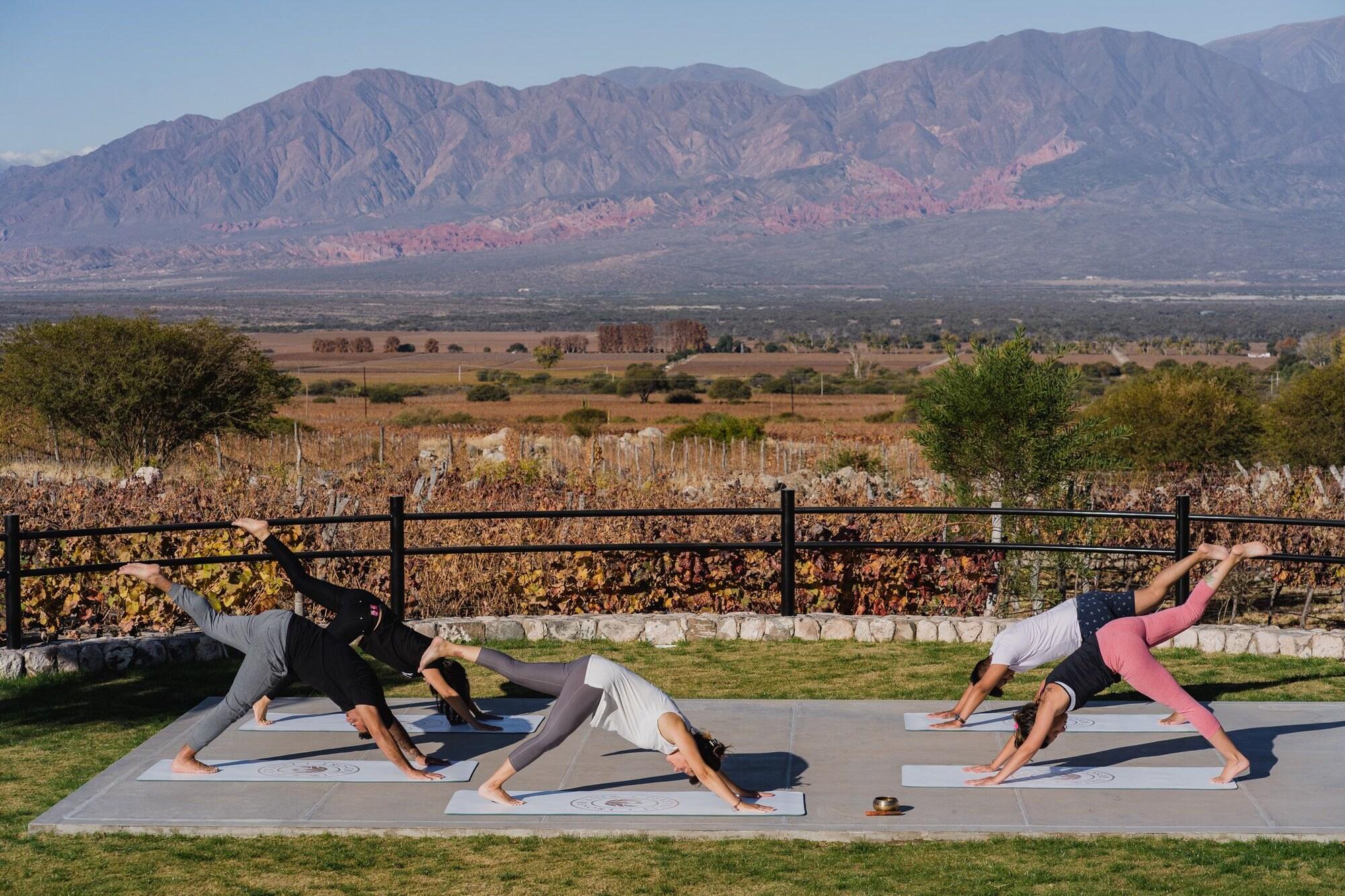 Gimnasio Piattelli Wine Resort