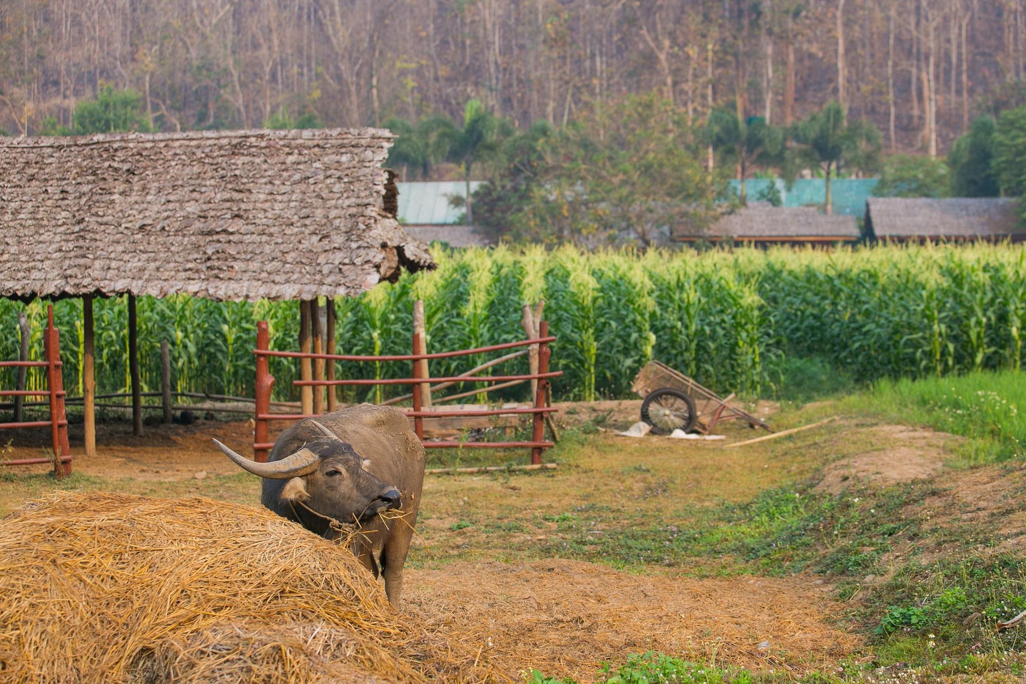 Vista Exterior Karen Eco Lodge