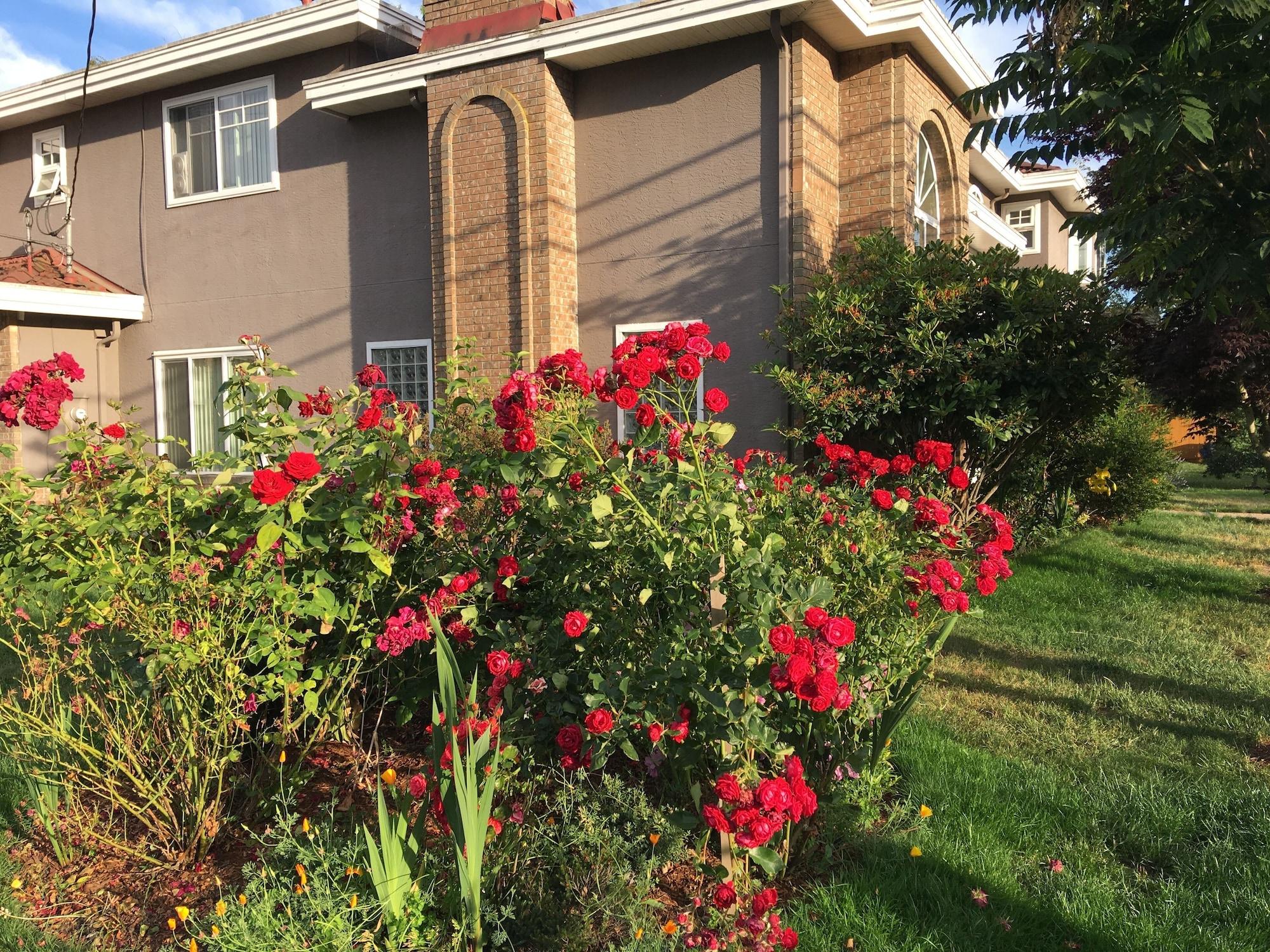 Varios Rose Garden Vancouver