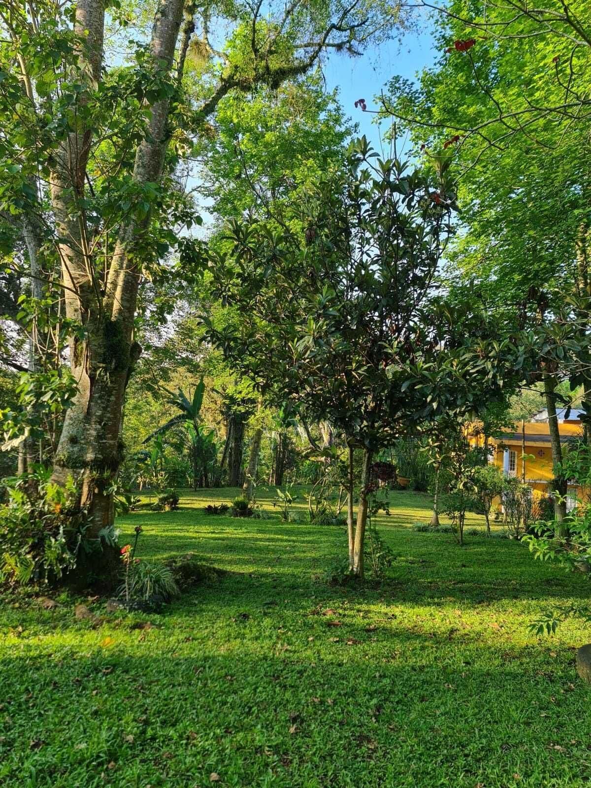 Comodidades del Alojamiento Jardin de los Anturios, Xico