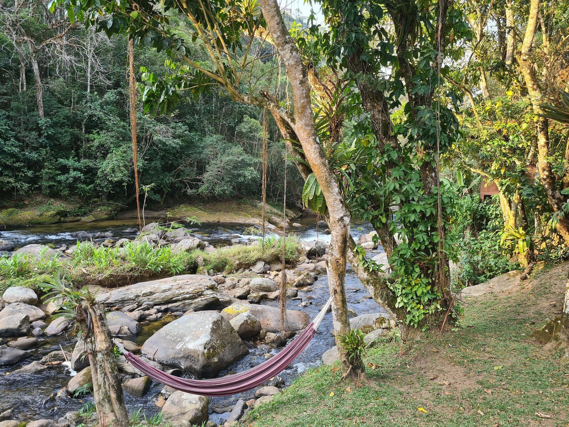 Varios Brilho do Sol