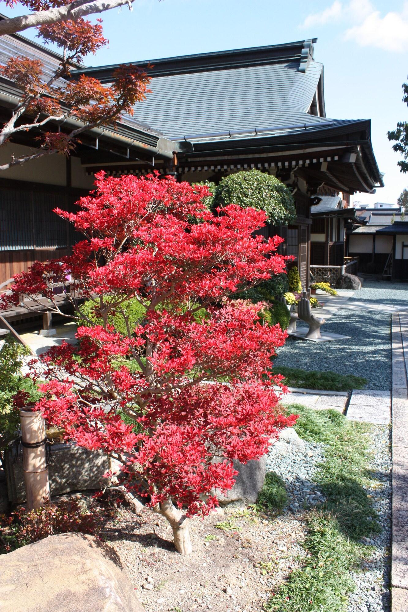 Vista Exterior Jokiin