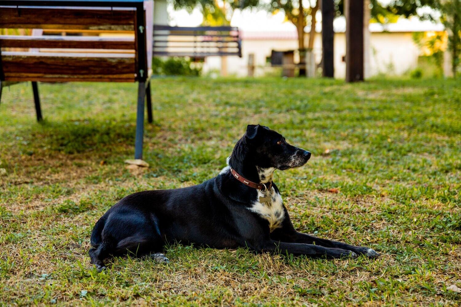 Comodidades del Alojamiento Posada Barahona