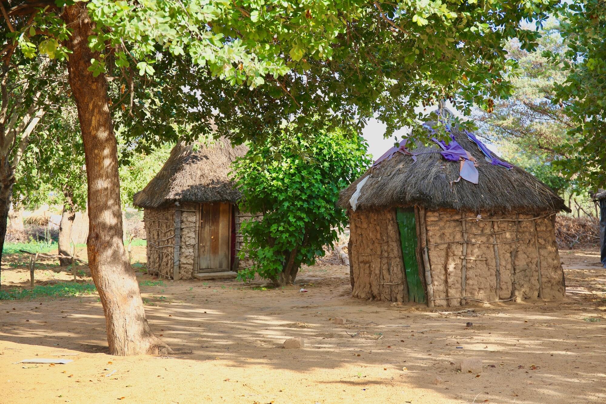 Comodidades del Alojamiento Rainbow River Lodge