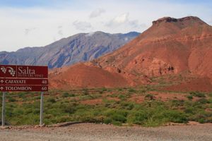 Actividad - Ruta del Vino de Altura en Salta