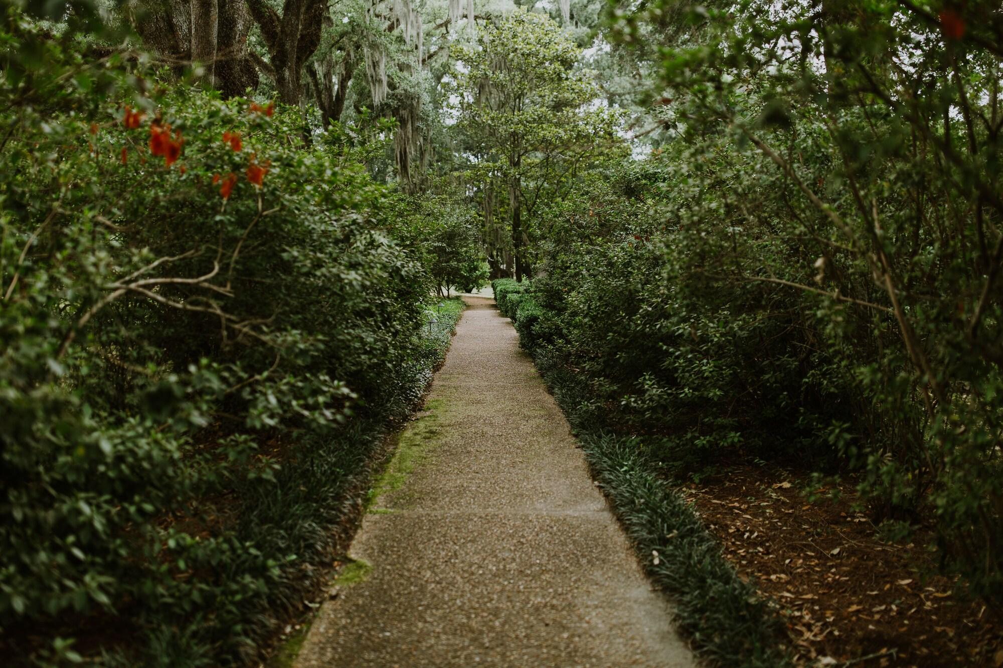 Vista Exterior The Myrtles Plantation