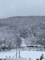 Alquiler Vacacional - Vacation apartment Eschbach Hof at the Nürburgring