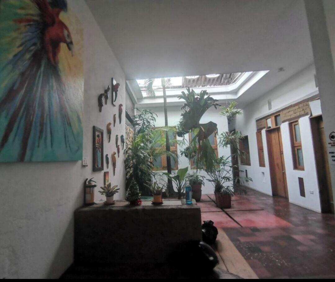 Vista Lobby parrot house san antonio