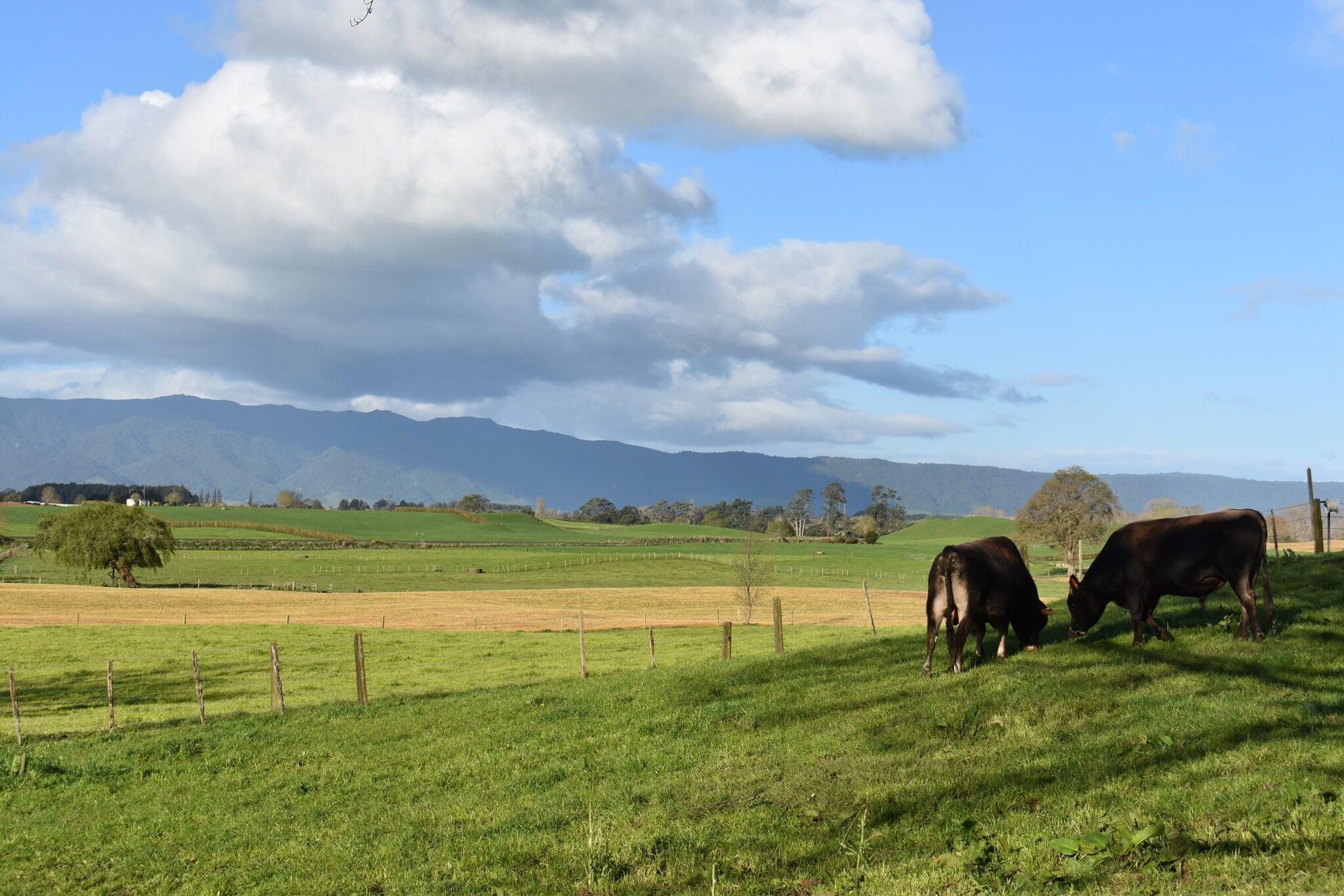 Vista Exterior Villa Walton