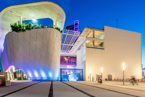 Actividad - Museo de Ciencias de las Heladas