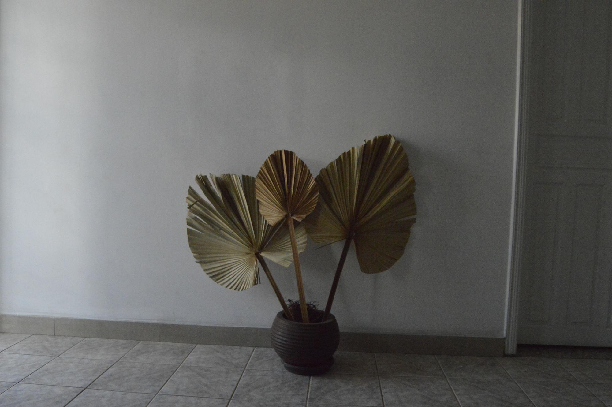 Comodidades del Alojamiento Hotel Cuca Fresca