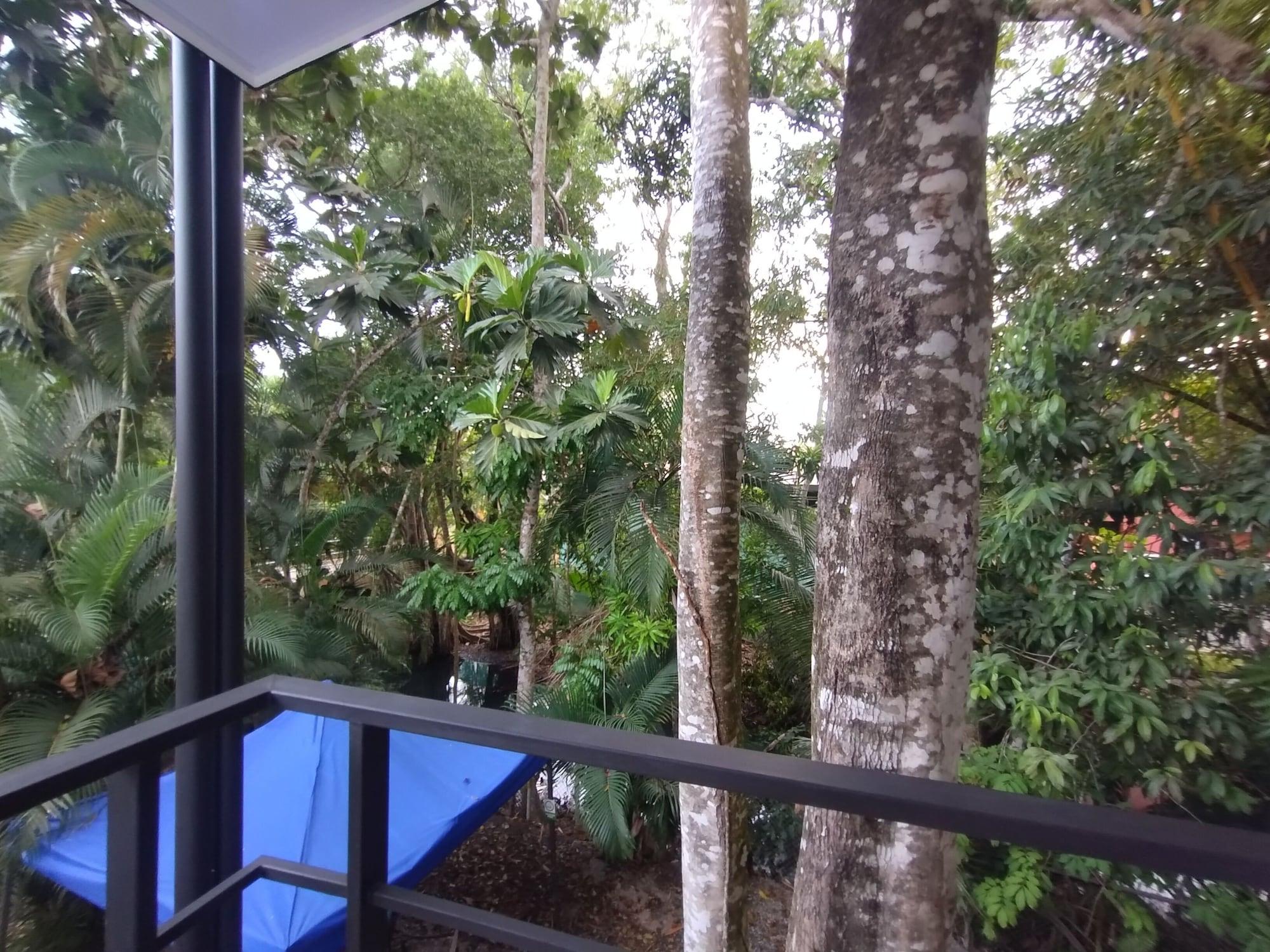 Equipamiento de Habitación Casa Jungla Hostel