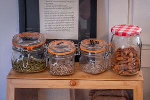 Alojamiento - Verdi 254