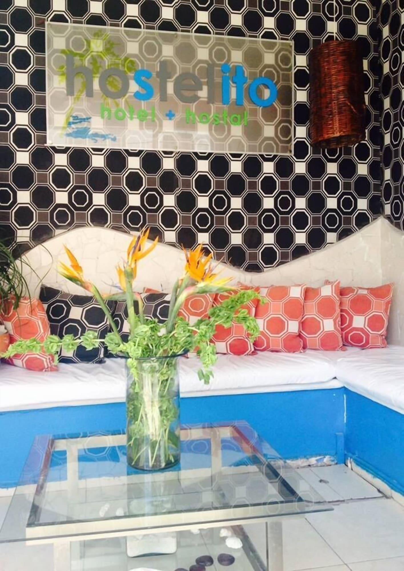 Vista Lobby Hostelito Hostal