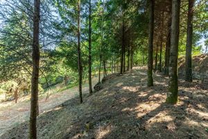 Alquiler Temporario - Prendal Eco Living Villa I - Minho s Guest