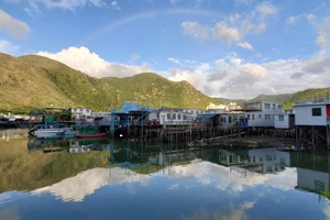 Actividad - Excursión de día completo a la isla de Lantau - Gran Buda, teleférico y Tai O (Privada)