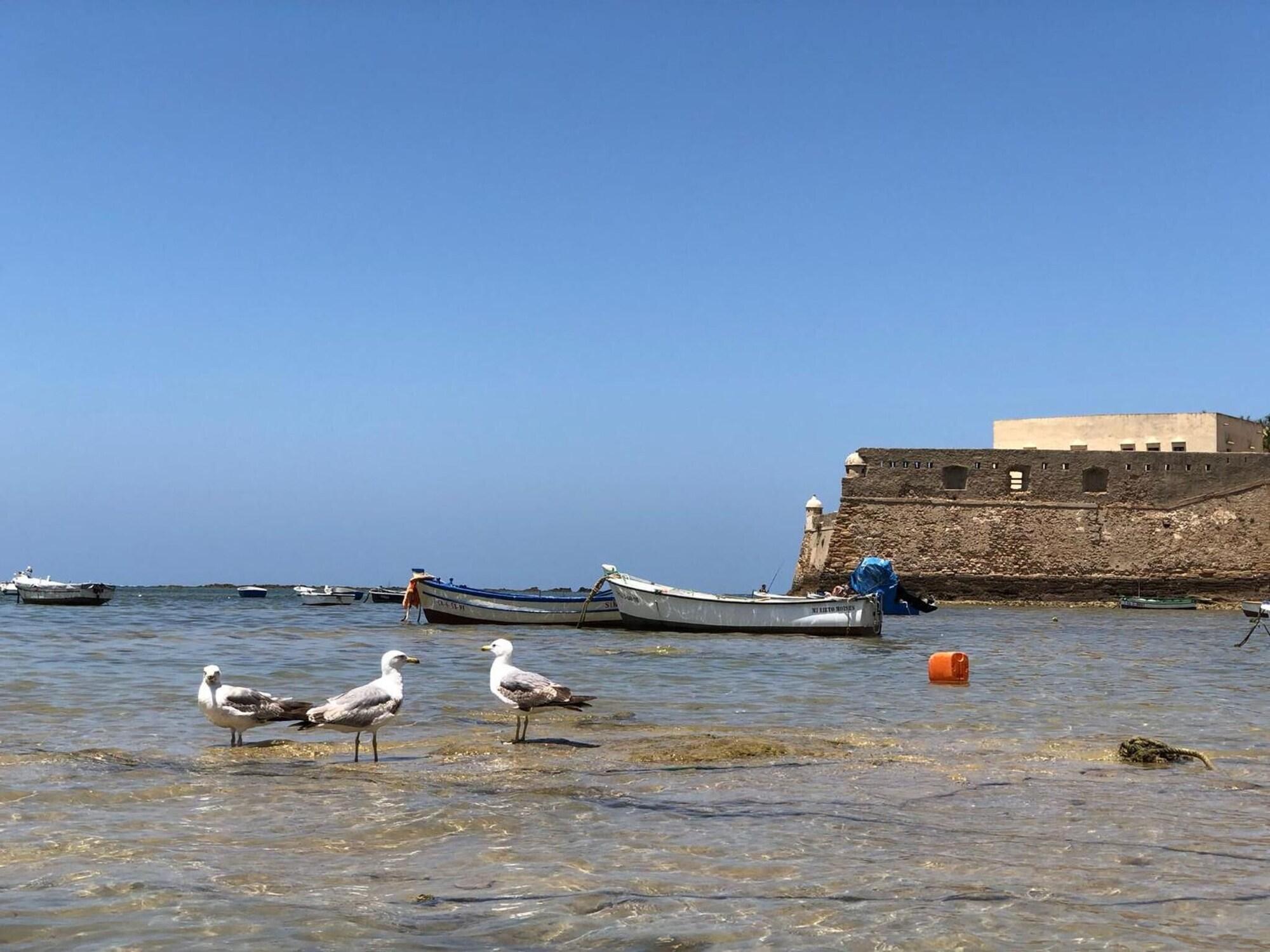 Playa Planeta Cadiz Hostel