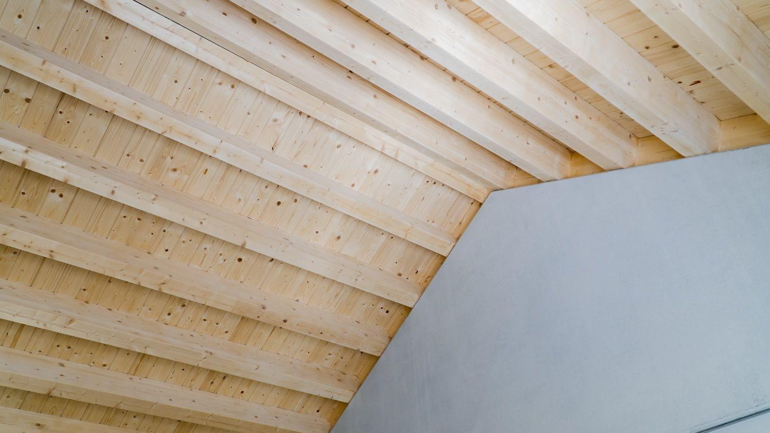 Vista Lobby Aloia Nature Alojamiento Forestal