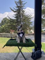 Alojamiento - Hotel Rocaval