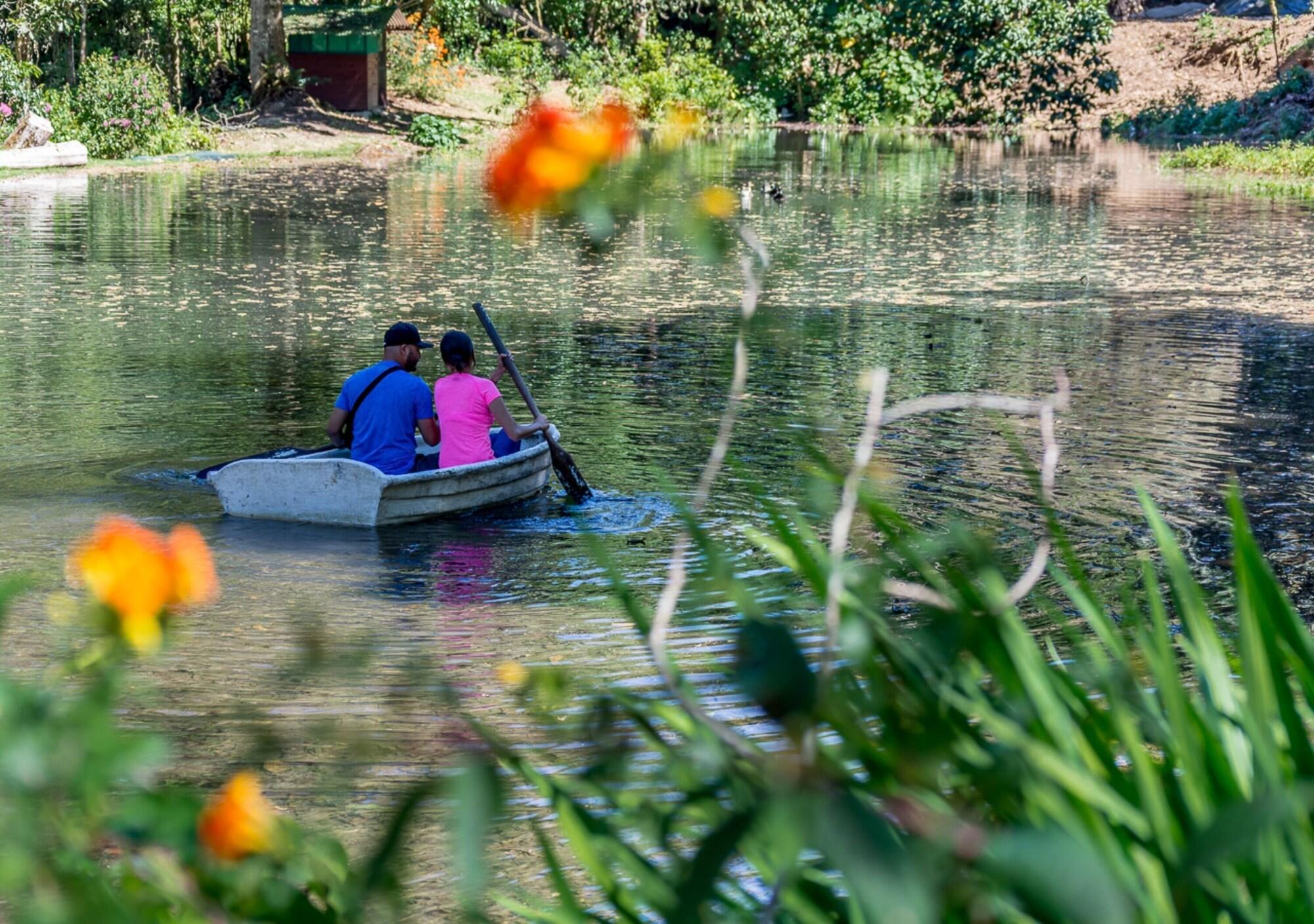 Vista Lobby Sueños del Bosque