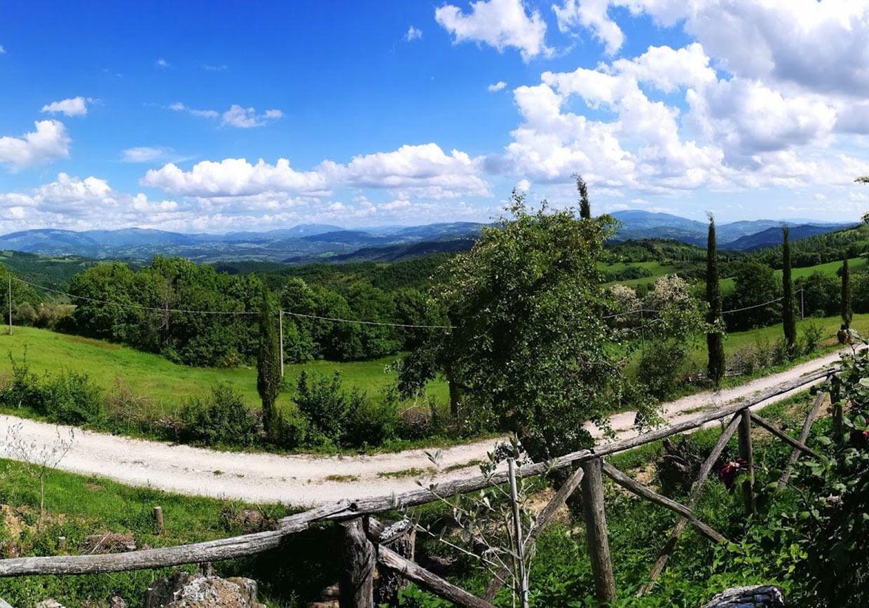 Comodidades del Alojamiento Montesalce