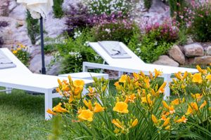 Alojamiento - Villa Nonna Cicci Boutique Hotel - Spa