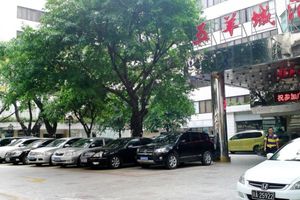 Alojamiento - Five Rams City Hotel