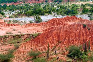 Vuelo - Vuelos a Neiva