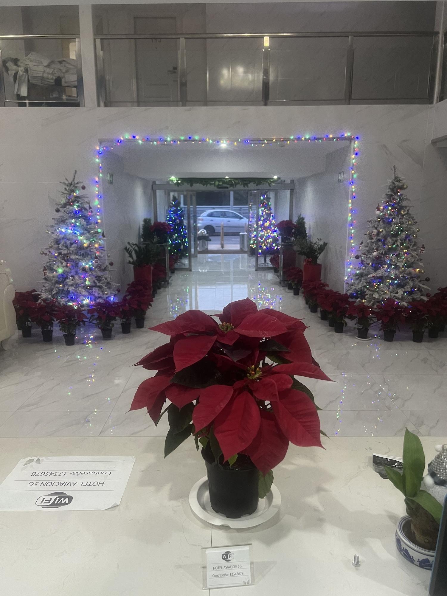 Vista Lobby Hotel Aviación