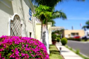 Alojamiento - Hotel Las Palomas Tepic Express