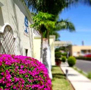 Hotel Las Palomas Tepic Express