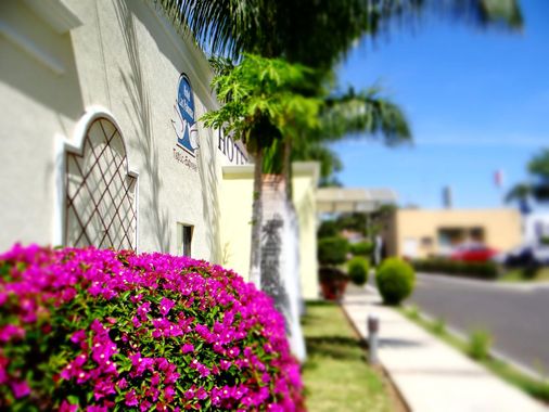 Hotel Las Palomas Tepic Express