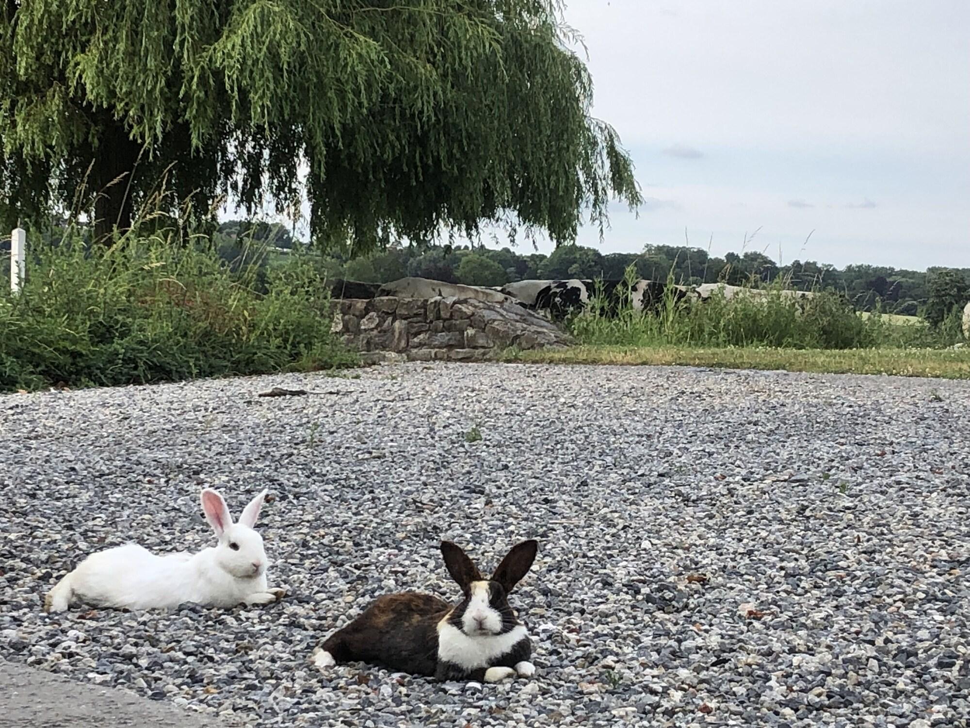 Vista Exterior La Ferme Delgueule