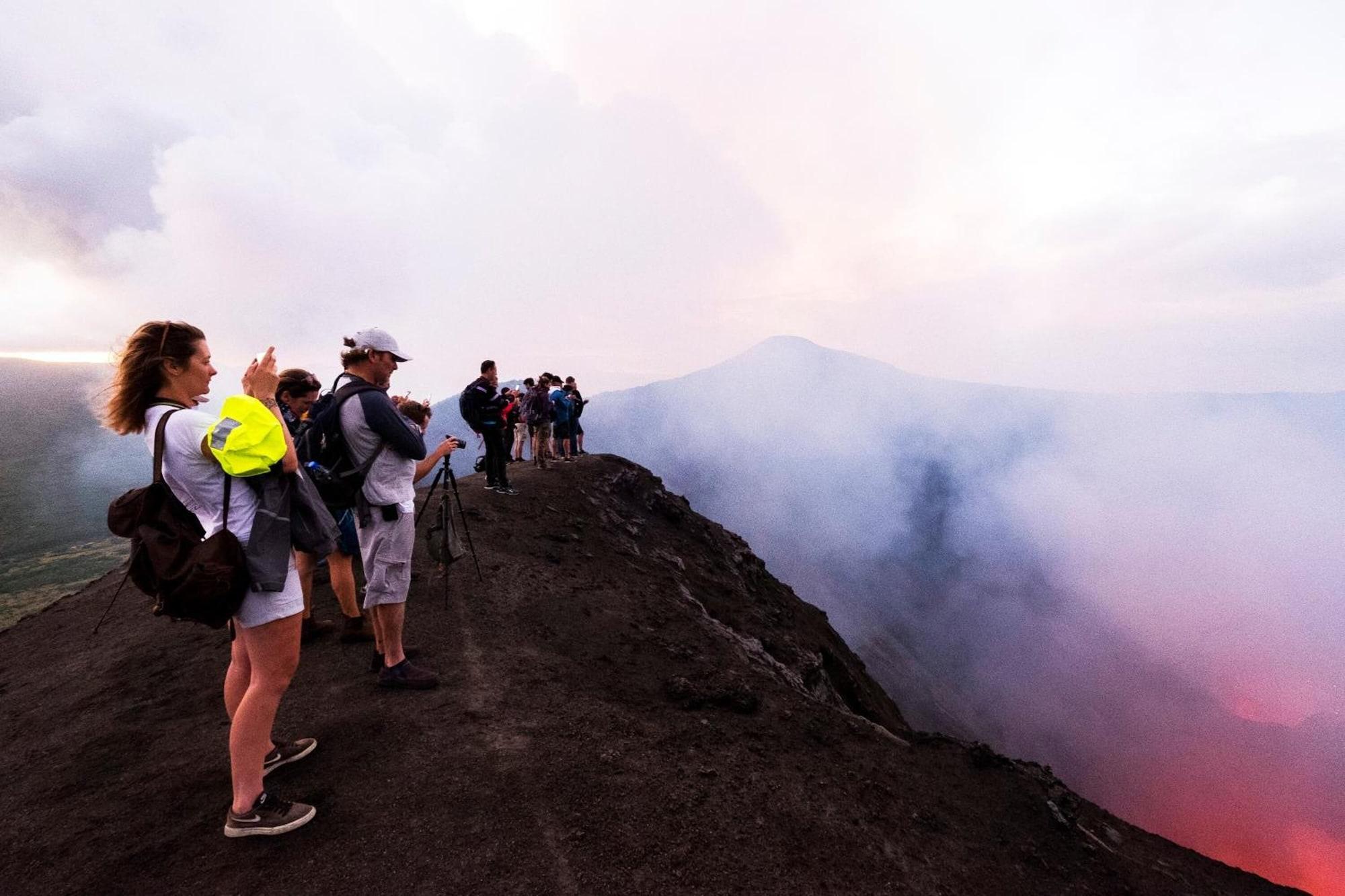 Gimnasio Castle Tree House