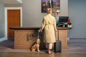 Alojamiento - Staybridge Suites Birmingham by IHG