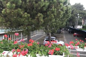 Alojamiento - Park Hotel Ermitage