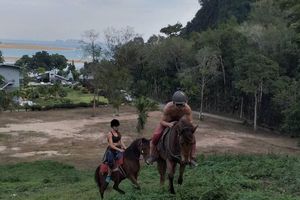 Actividad - Cursos de equitación en Krabi